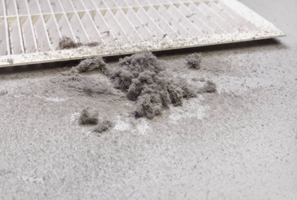 Best Commercial Air Duct Cleaning  in Holland, TX