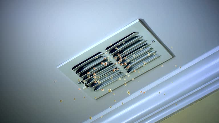 Best Local Air Duct Cleaning Services  in Holland, TX