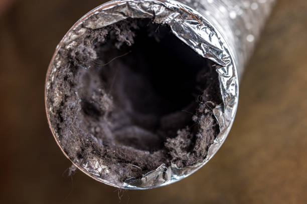 Best Ventilation Cleaning Services  in Holland, TX