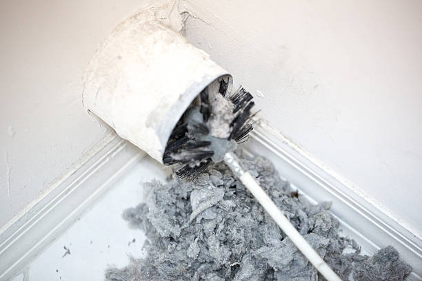 Best Air Duct Cleaning Near Me  in Holland, TX
